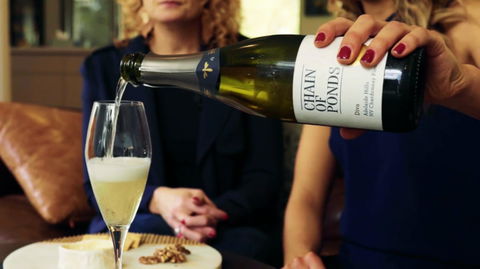 Adelaide Hills-Billies Cheese & Wine Tasting - Accommodation Bookings 2