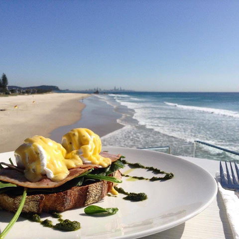 Chompers - Annerley - Accommodation Bookings 0