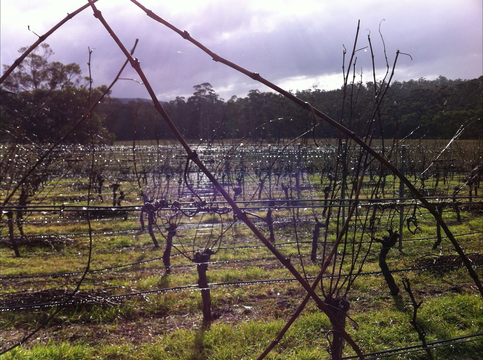 Orford TAS Accommodation Bookings