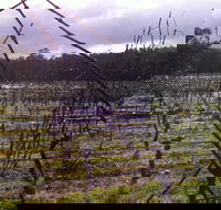 Darlington Vineyard - Accommodation Bookings