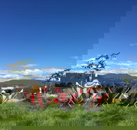 Red Feet Wines - Accommodation Bookings