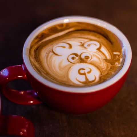Three Bears Kitchen - Accommodation Bookings 0