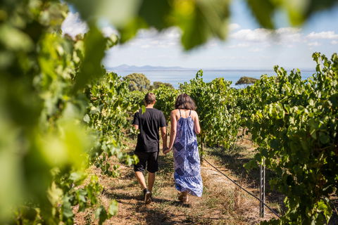 Terindah Estate - Accommodation Bookings 0