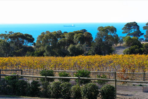 Terindah Estate - Accommodation Bookings 2