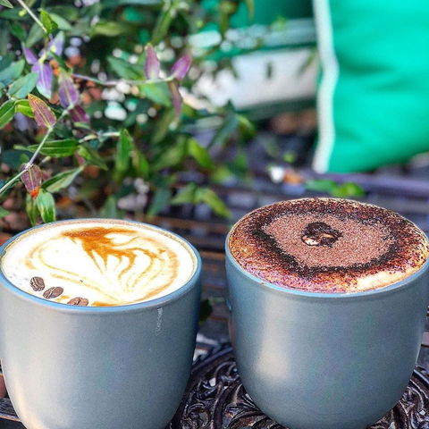 Who Shot The Barista - Accommodation Bookings 0