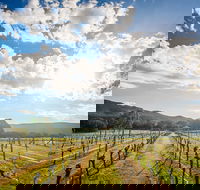 Fallen Giants Vineyard - Accommodation Bookings
