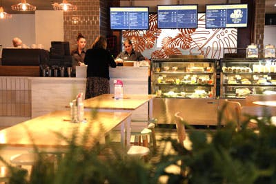 Good Drop Cafe - St Marys Band Club - Accommodation Bookings 0