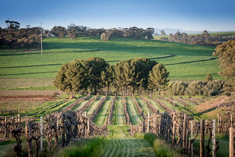 Heritage Wines - Accommodation Bookings 0