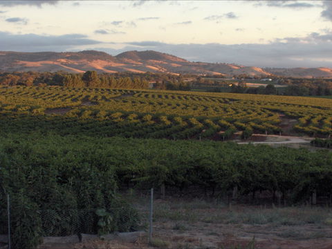 Heritage Wines - Accommodation Bookings 2