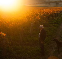 HOOSEGG Cellar Door - Accommodation Bookings