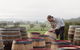 Lark Distillery - thumb 2
