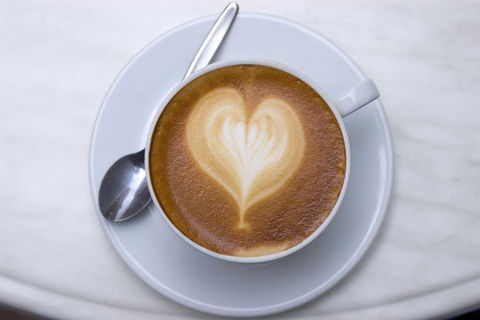 Fibonacci Coffee - North Ryde - Accommodation Bookings 0