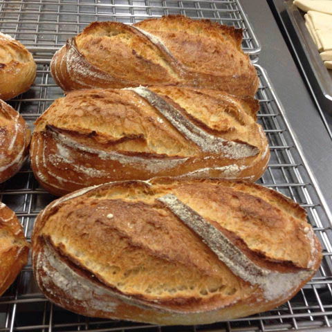 Harvest Boulangerie Patisserie - Accommodation Bookings 0