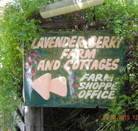 Lavender and Berry Farm Cafe - Accommodation Bookings