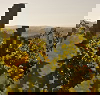 Wimbaliri Wines - Accommodation Bookings