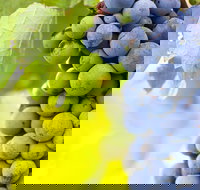 Eden Road Wines - Accommodation Bookings