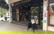 Golden Bakehouse - thumb 0