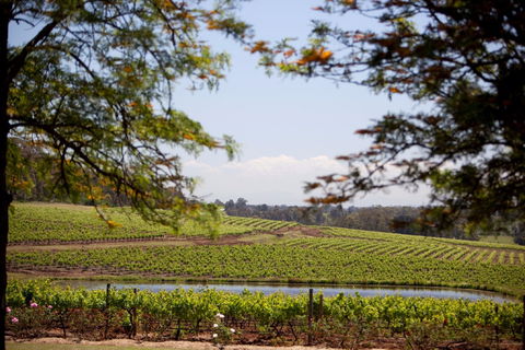 Wynwood Estate - Accommodation Bookings 0