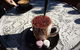Gateaux By Marc Frissard - thumb 0