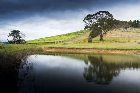 Mount Majura Vineyard - Accommodation Bookings 1