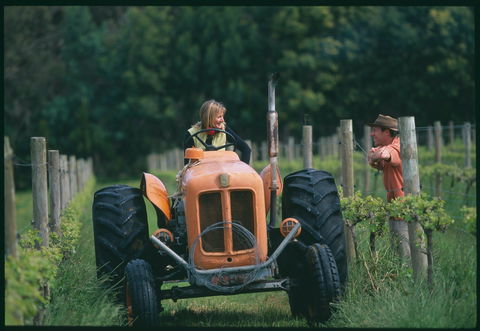 Oranje Tractor Wine - Accommodation Bookings 0