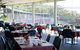 Paradise Chinese Restaurant - thumb 0