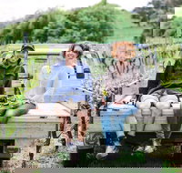 Four Winds Vineyard Cellar Door - Accommodation Bookings