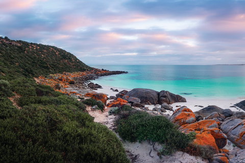 Marion Bay Tavern - Accommodation Bookings 0
