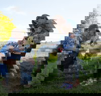 Sunhill Dairy Goats and Sunhill Skin Essentials - Accommodation Bookings