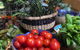 The Grazing Platter Workshop - thumb 0