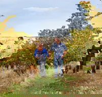 WayWood Wines - Accommodation Bookings