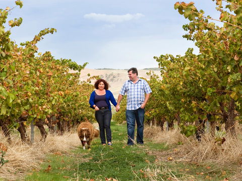 WayWood Wines - Accommodation Bookings 0