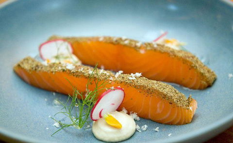 Seed Winehouse + Kitchen - Accommodation Bookings 9