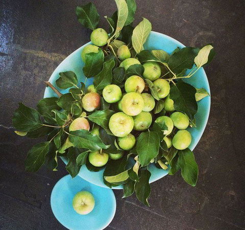 Seed Winehouse + Kitchen - Accommodation Bookings 6