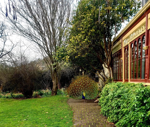 Glen Derwent Tea Rooms - Accommodation Bookings 0