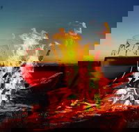 Black Dog Brewery - Accommodation Bookings