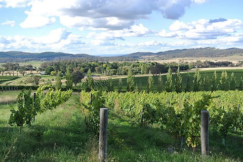Sassy Wines - Accommodation Bookings 0