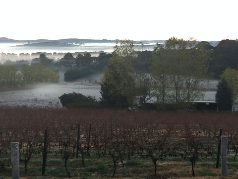 Sassy Wines - Accommodation Bookings 2
