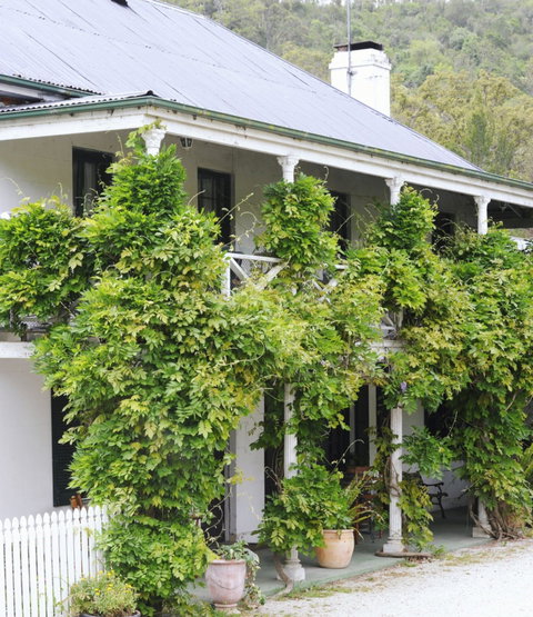 The Common Ground Cafe And Bakery - Accommodation Bookings 0