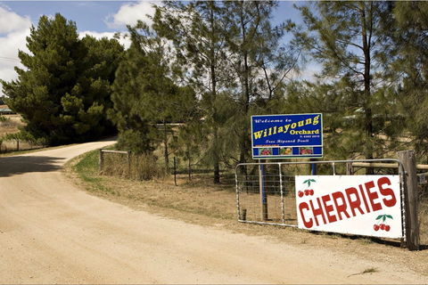 Willayoung Orchard - Accommodation Bookings 1
