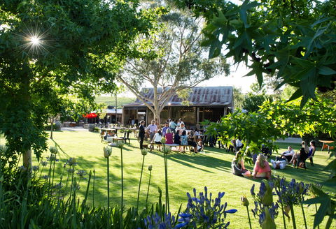Barristers Block Premium Wines - Accommodation Bookings 0
