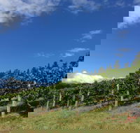 Freycinet Vineyard - Accommodation Bookings