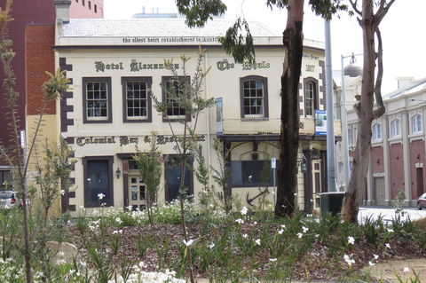 Hope & Anchor Tavern - Accommodation Bookings 0