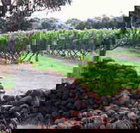 Spring Vale Vineyard - Accommodation Bookings