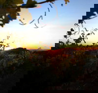 Glenbosch Wine Estate - Accommodation Bookings