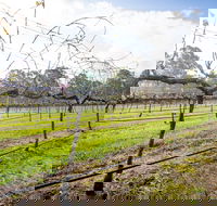 Long Point Vineyard and Art Gallery