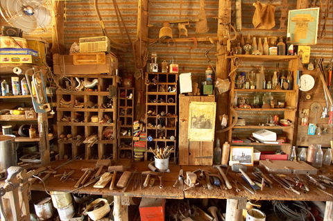 Catania Fruit Salad Farm Griffith - Accommodation Bookings 0