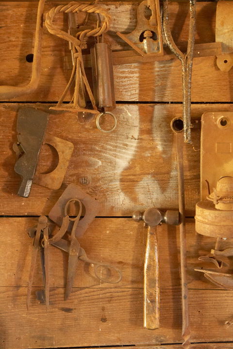 Catania Fruit Salad Farm Griffith - Accommodation Bookings 2