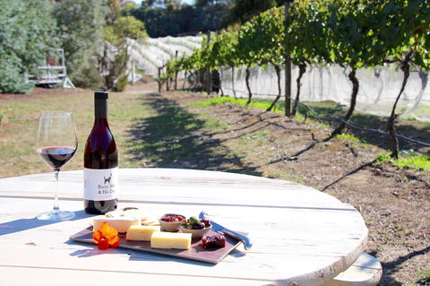 Every Man And His Dog Vineyard - Accommodation Bookings 1