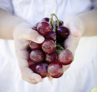 Granitevale Winery - Accommodation Bookings